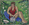 GABRIELE MÜNTER Fräulein Ellen im Gras, 1934 Textiler Bildträger, 47,5 × 65 cm Gabriele Münter- und Johannes Eichner-Stiftung, München, Inv.-Nr. V 96 Foto: Lenbachhaus, © VG Bild-Kunst, Bonn 2017